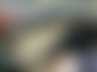 Partido Solidariedade de Jaboatão propõe eleger dois vereadores com suplentes de até 1 mil votos