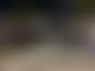 Operação Réveillon da SDS não registra mortes no Recife, Olinda, Jaboatão e Paulista