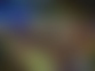 Festa da Pitomba começa nesta quinta-feira (24)