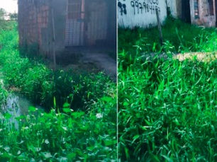 Rua e canal em Vila Sotave com problemas de limpeza e drenagem