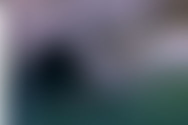 Prefeitura do Jaboatão responde falta de limpeza de canal em Comporta