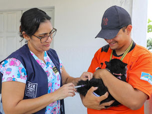 Jaboatão realiza Dia D de Vacinação Antirrábica Animal neste sábado (1º de novembro)