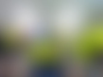 Mano Medeiros entrega certificados de curso a agentes de trânsito do Jaboatão