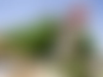 Exposição Mundo Jurássico chega ao Shopping Guararapes para encantar público de todas as idades