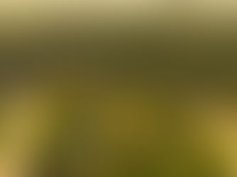 Trilha pela Mata de Camaçari tem edição no Paiva neste sábado (28)