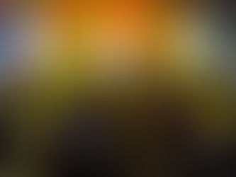 Festa da Pitomba tem mais uma noite de muita música e grande público