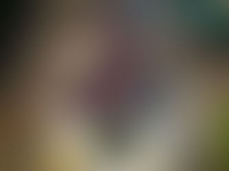 Vereador Marlus Costa: "em Jaboatão, nunca se gastou tanto com festas e eventos"