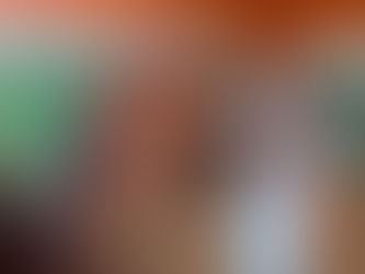 Equoterapia: projeto de Rebecca Regnier é apresentado na Câmara Federal por Clodoaldo Magalhães