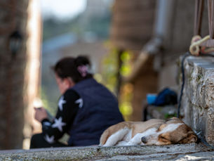 Seminário debaterá nesta terça situação de pessoas na rua