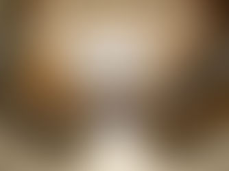 Frente Parlamentar do Rio Tejipió inicia atividades na Assembleia Legislativa de Pernambuco