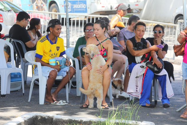 Mutirão de castração de cães e gatos segue até sábado no estacionamento do Palácio da Batalha, em Prazeres