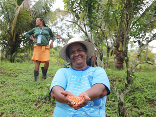 Prefeitura do Jaboatão realiza entrega de 3,5 mil kg de sementes de milho para agricultores familiares