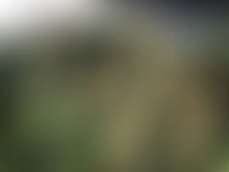 Prefeitura do Jaboatão realiza o 1º Festival do Milho em Cajueiro Seco nesta quarta (19)