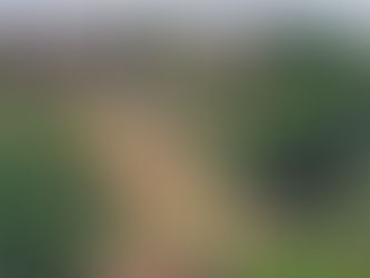 Jaboatão: moradores de Jardim Monte Verde aguardam nova moradia