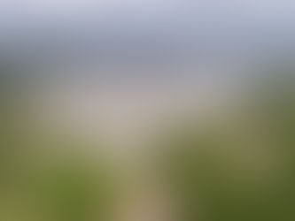 Manutenção em Tapacurá deixa moradores do Recife, de Jaboatão e Camaragibe sem água