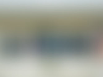 Câmara aprova projeto sobre limpeza de terrenos baldios e discute novas regras de segurança urbana