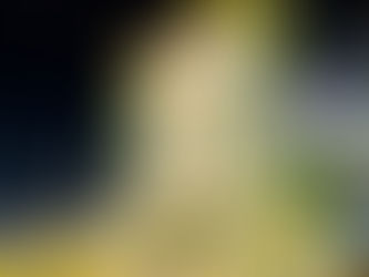 Procissão da Bandeira e missa abrem a programação da Festa de Santo Amaro em Jaboatão Centro