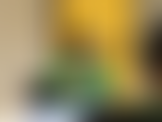 Presidente da Câmara do Cabo, Anderson Bocão, destaca união política, avanços administrativos e apoio ao prefeito em entrevista na Rádio Cabo FM