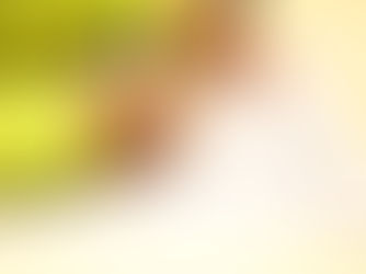 Cerimônia marca a posse de 66 servidores municipais