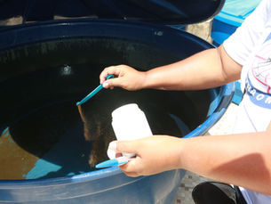 Jaboatão intensifica combate à dengue em meio a mais de 1,6 milhão de casos no Brasil e cenário de alerta em Pernambuco