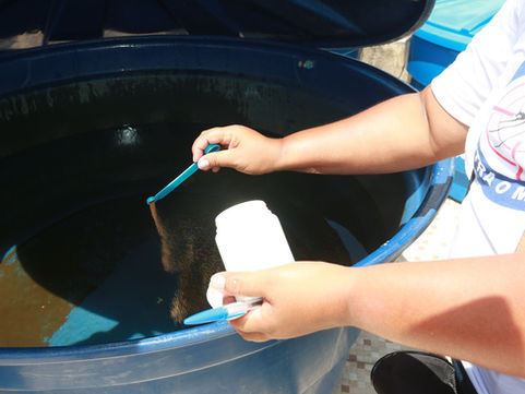 Jaboatão intensifica combate à dengue em meio a mais de 1,6 milhão de casos no Brasil e cenário de alerta em Pernambuco