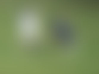 Jaguar entra em campo neste domingo (29) no Campeonato Pernambucano Betnacional Série A2