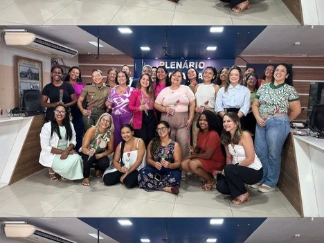 Audiência pública e roda de conversa marcam evento dedicado às mulheres em Moreno