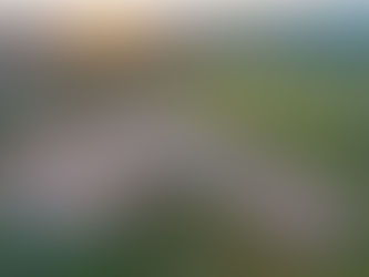 Novas regras do Minha Casa, Minha Vida entram em vigor nesta sexta (07)