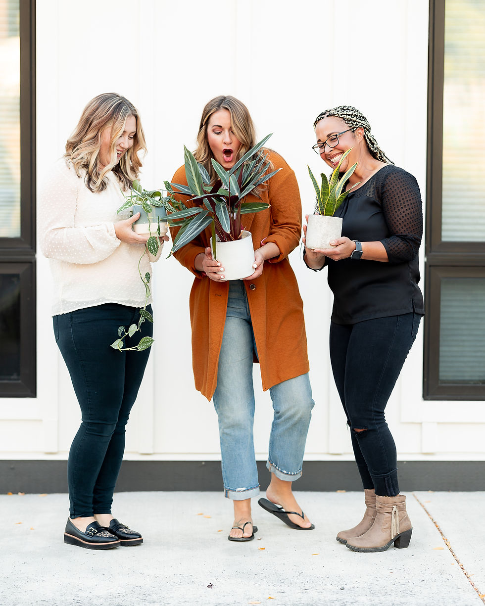 Plant Meet Up - Propagating