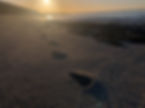 Beach.jpg