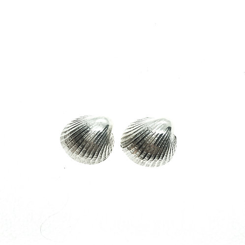 Cockle Shell Studs