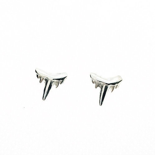 Shark Tooth Studs