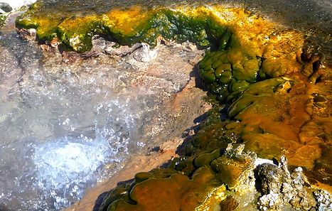 geysers Sajama National Park