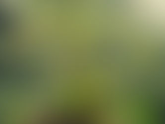 Exploring the Wonders of Evolutionary Biology