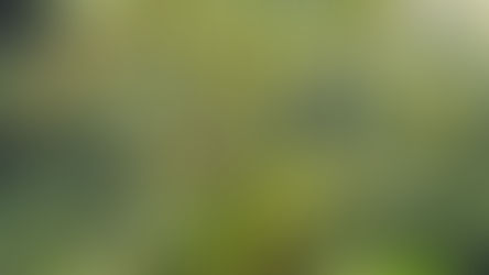 Exploring the Wonders of Evolutionary Biology