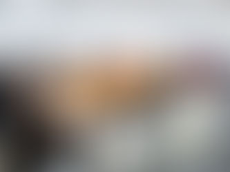 Câmara Setorial contra feminicídio é instalada na ALMT