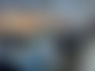 Deputada participa da I Cúpula de jovens líderes da Amazônia Legal