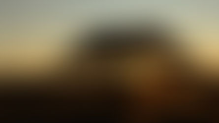 Where in South Africa are human bridges built?