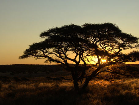 Kde v JAR vznikají lidské mosty 