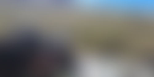 LOV versus Myslivost