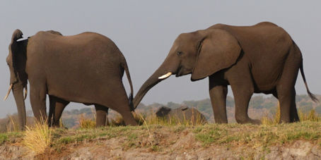 The most breathtaking photo safari....