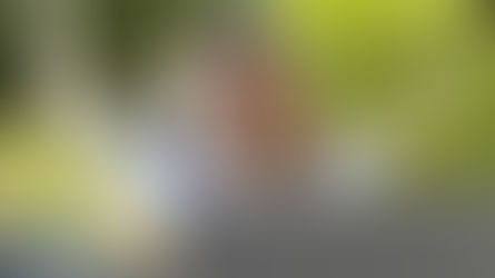 Mon bureau était un sauna, mes journées un marathon. J’ai testé plusieurs plans B en mode "freelance nomade de jardin" : 👉 Le hamac : pas mal, jusqu’à ce que je me surprenne à piquer du nez. 👉 La chaise longue : même combat que le hamac 👉 Dernier espoir : la table de jardin à l’ombre. Verdict ? meilleur spot de la semaine, validé à 100 %.