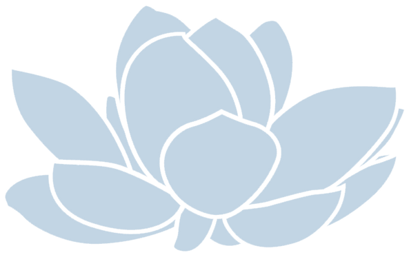 Bildschirmfoto-2025-06-27-um-13.42.33.png