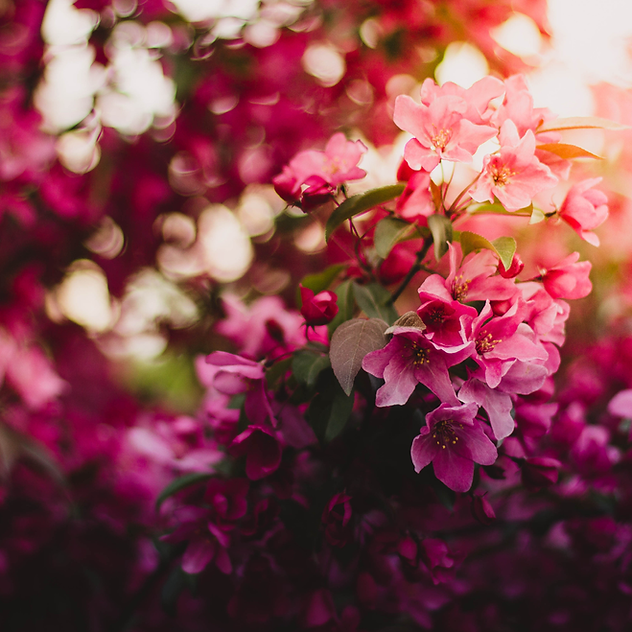 Copy of Women of Spirit final graphic _20251014_133225_0000.png