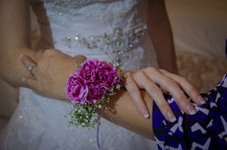 IMG_6289.jpg