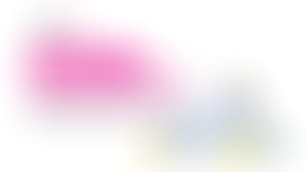 PAYMENT FACILITATOR AND E-WALLET IMPLEMENTATION