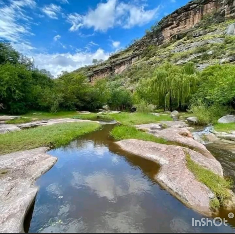 WhatsApp Image 2025-12-01 at 09.15.31 (3)