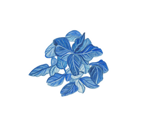 Capture d’écran 2023-03-04 à 13.00.23.png