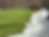 Staggered Lawn Edge