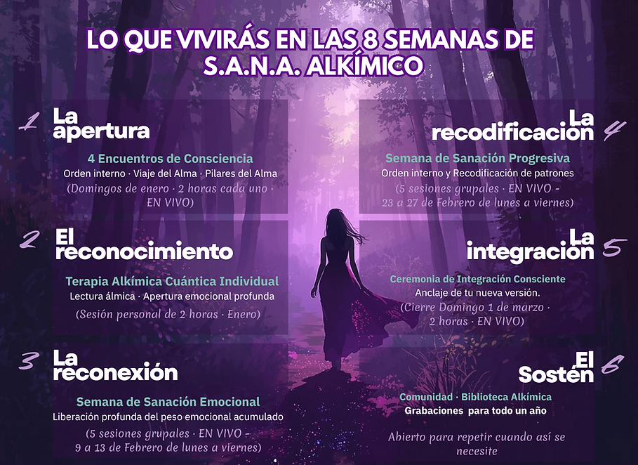 LO QUE VIVIRÁS EN LAS 8 SEMANAS DE S.A.N.A. ALKÍMICO (3).png